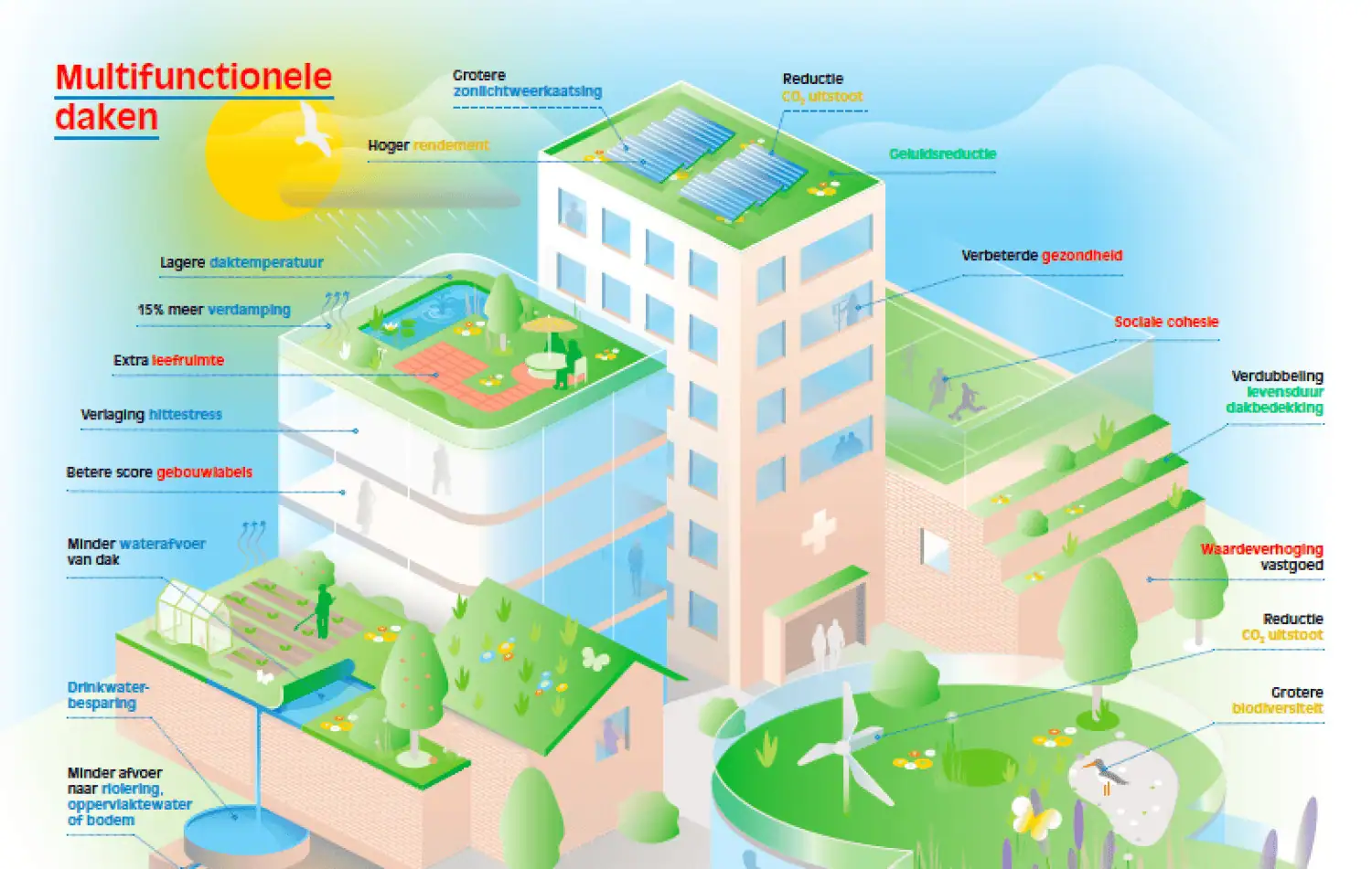Infographic van multifunctionele daken die laten zien hoe gebouwen worden ingezet voor zonnepanelen, wateropvang, daktuinen voor biodiversiteit en sociale ruimtes zoals sportvelden.